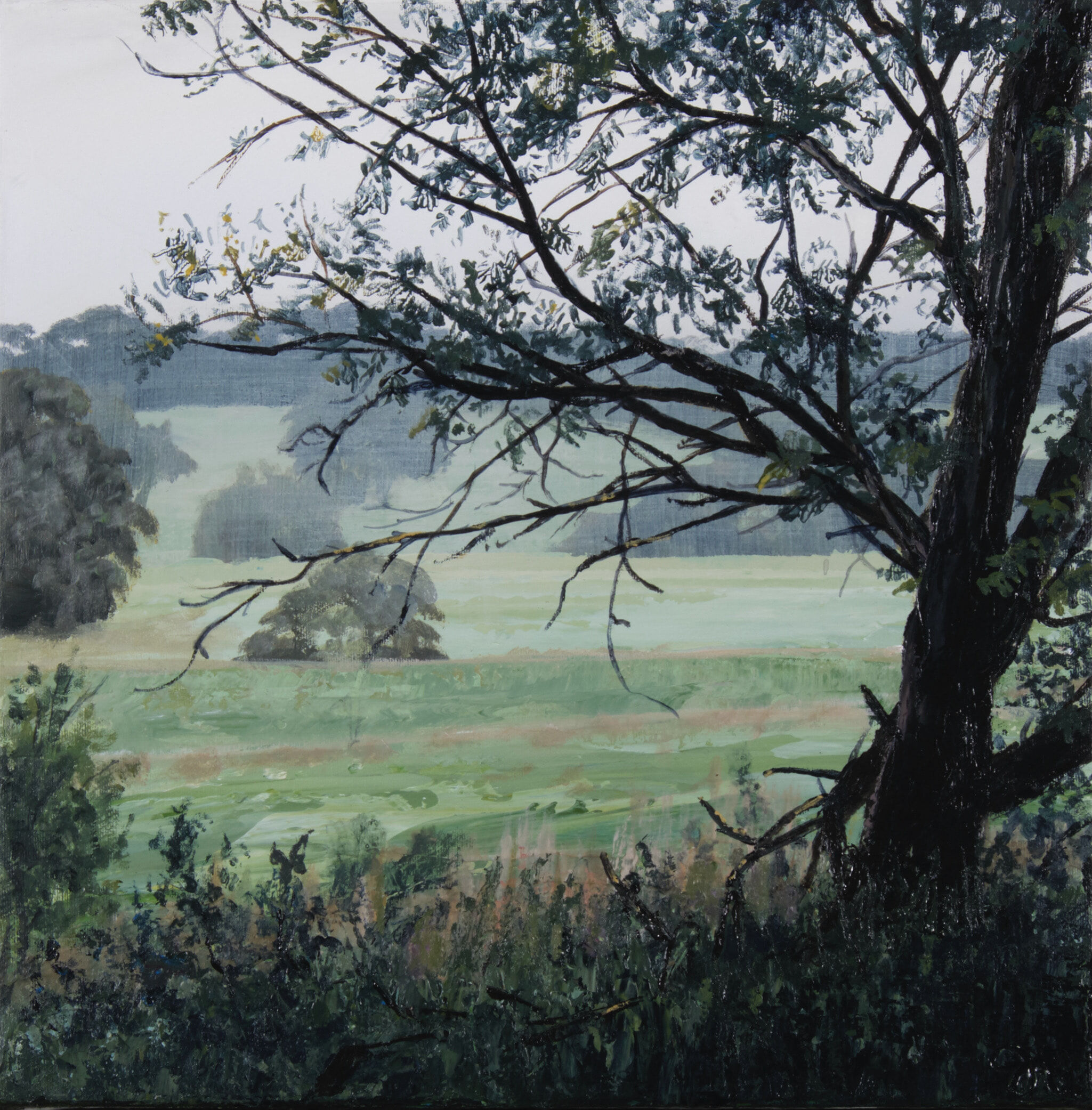 Riddle_Wattle_Tree's_Repose_33.5x33.5cm