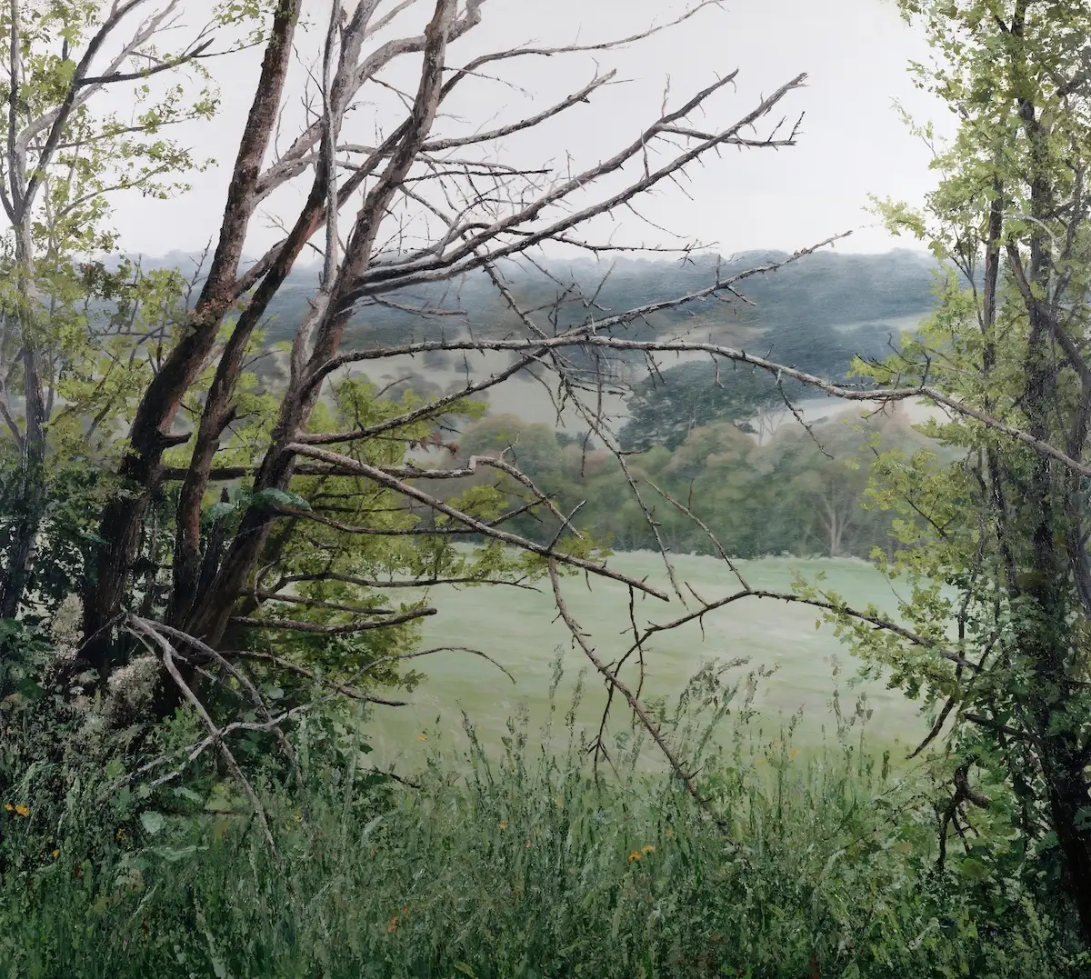 Lure of the Quiet