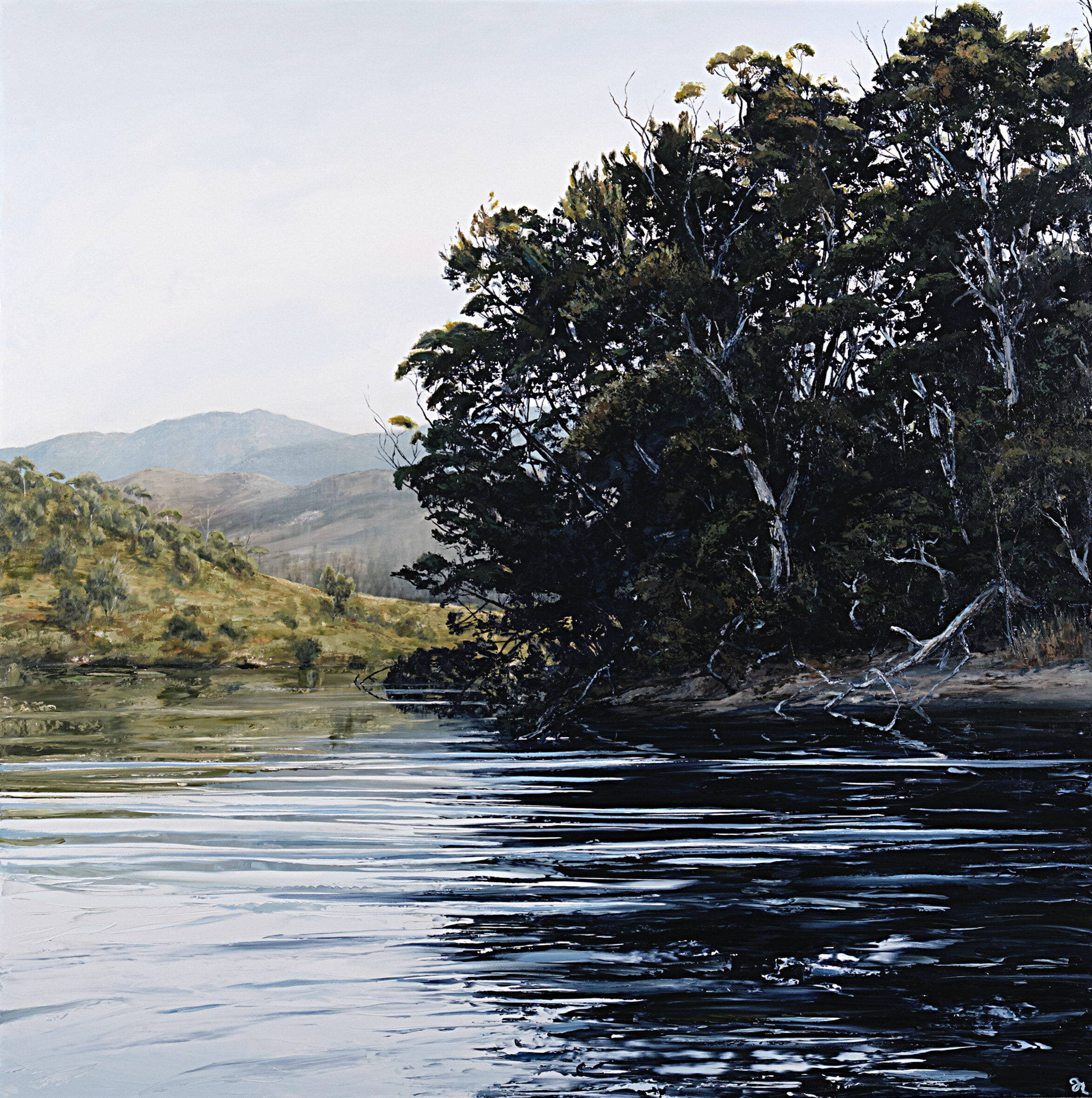 Riddle_Morning_Light-Davey_River_137.5x137.5cm