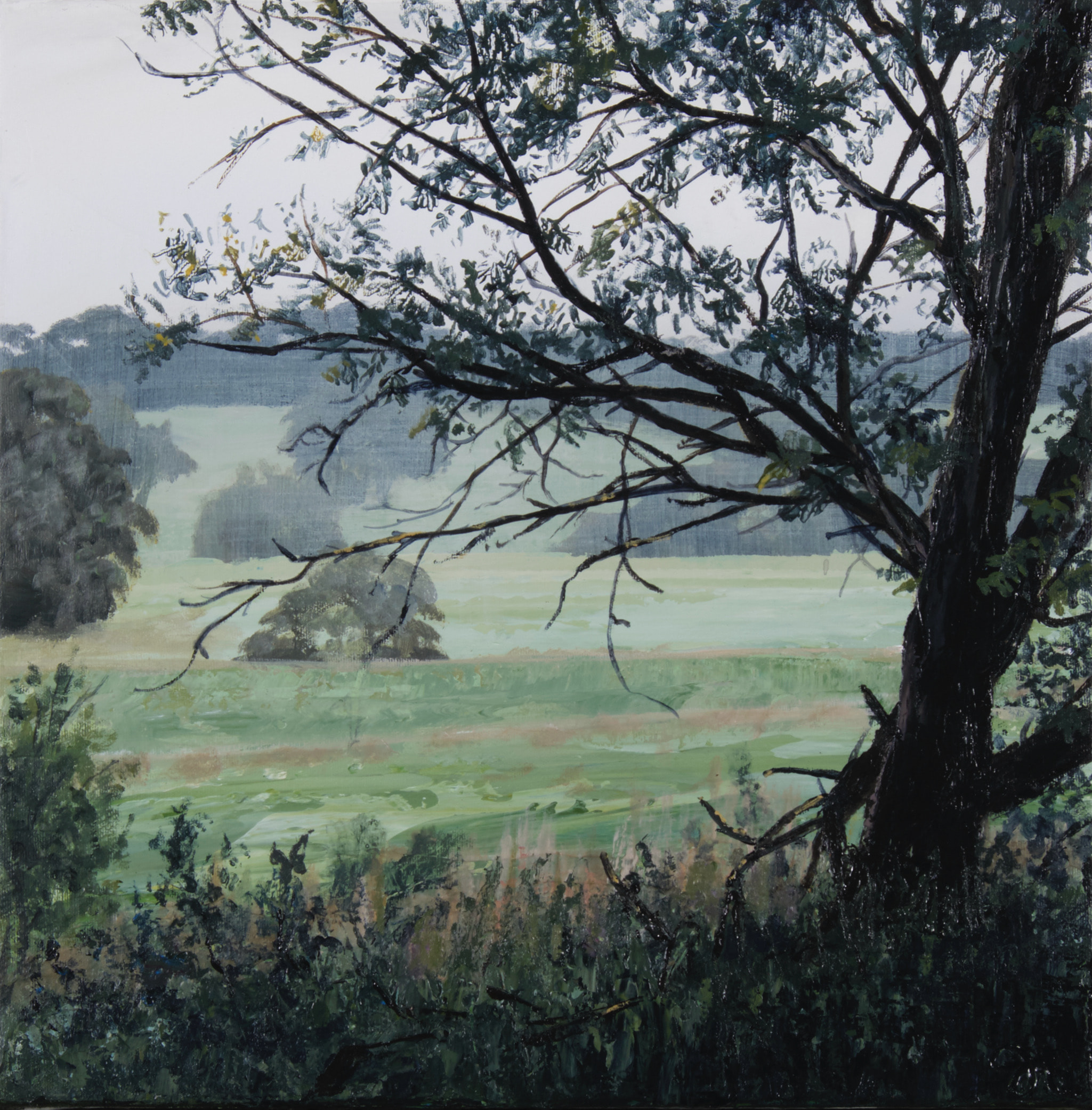 Artist, Jennifer Riddle's painting 'Wattle Tree's Repose' 2021